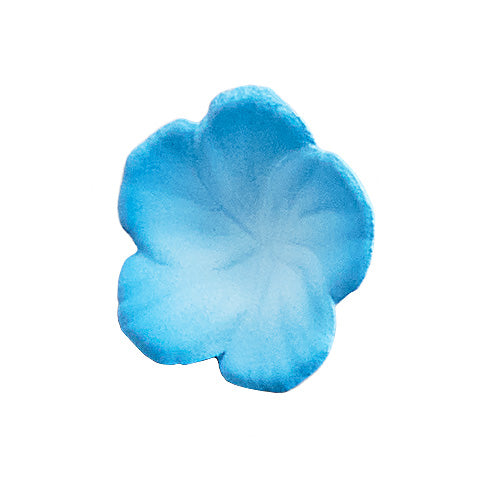 01-04-2026 KADOKAWA - 1/7《異世界情緒》普遍體 「Nemophila」(插畫 : Reoenl) Y25000 PVC